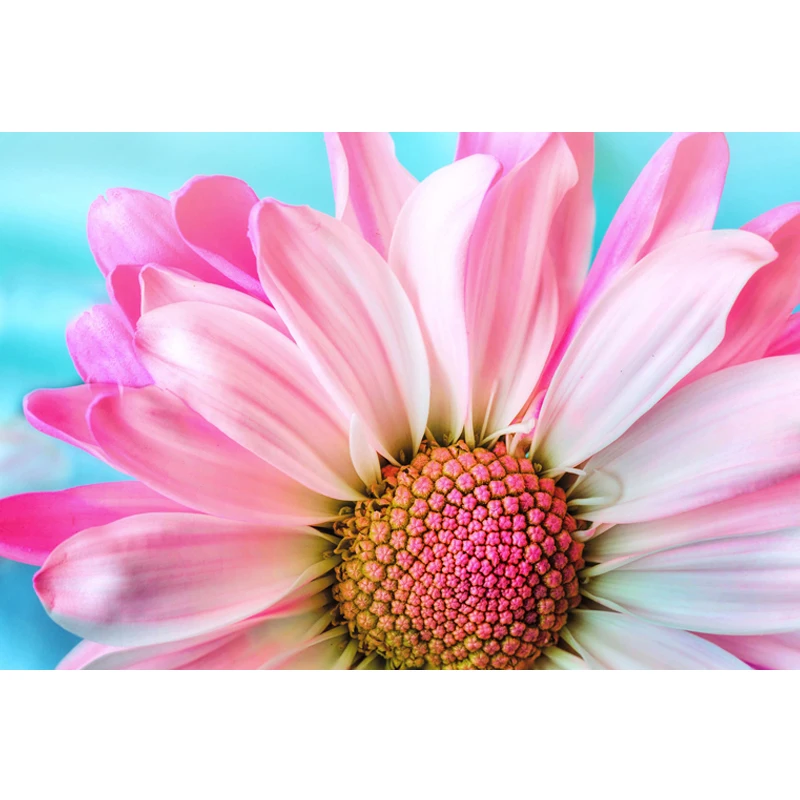 Полностью круглое сверло 5D DIY Алмазная картина &quotРозовые цветы&quot