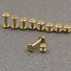 10pcs Solid Brass Binding Chicago Screws Nail Stud Rivets For Photo Album Leather Craft Studs Belt Wallet Fasteners 10mm cap ► Photo 2/5