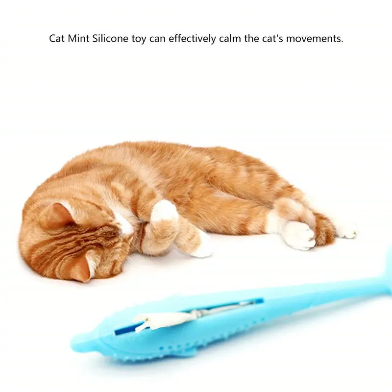 51m6Te1mW3L._SL1001_