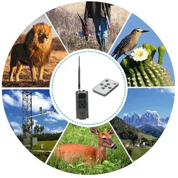 

16MP 1080P Hunting Camera Auto Exposure IR Filter Night Vision Trail Cameras 3G GPRS Remote Control 2.0 inch TFT Display Screen