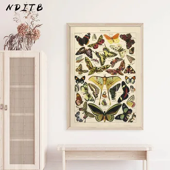 

Butterfly Insect Vintage Poster Papillons Print Canvas Painting Biology Education Wall Art Picture Modern Study Room Decoration