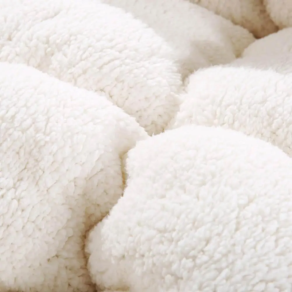 Теплое пуховое одеяло с подкладкой, постельные принадлежности, наполнитель, искусственный кашемир, одеяло, милое, теплое, утолщенное, удобное, мягкое, для дома, Descoration