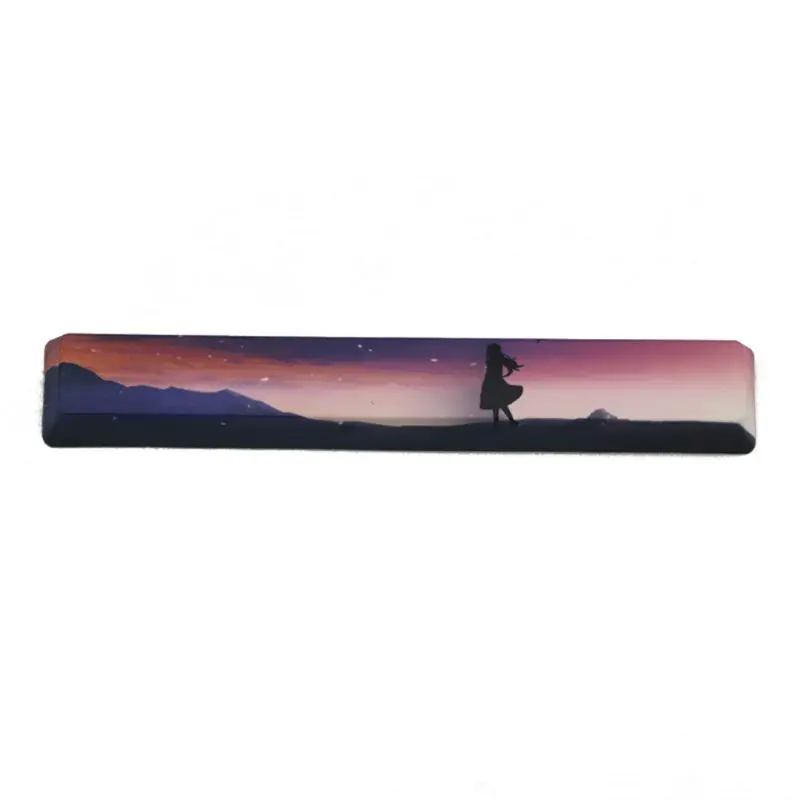 

SpaceBar Keycap PBT Five Sides Dye-Subbed 6.25U OEM Profile Keyboard Keycap