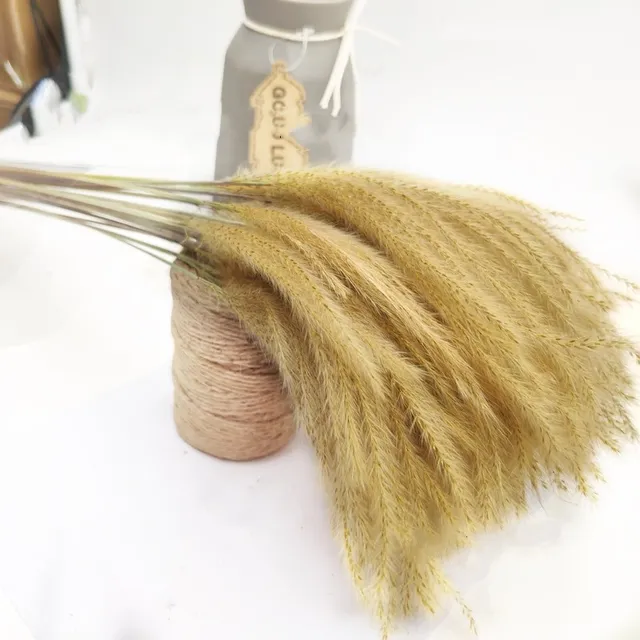 15Pcs Dried Reed Flower Arrangement Natural Pampas Grass For  Modern Home Decoration Party Backdrops Wedding Supplies as chart