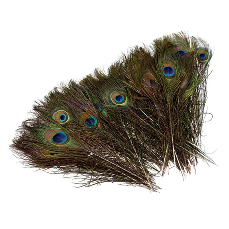 Natural Peacock Feathers 10-12''