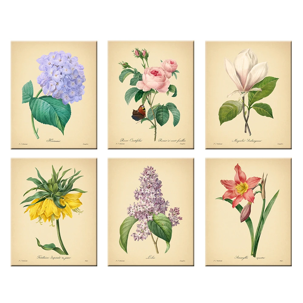 

Illustration Flower Botanical Posters and Prints Rose Vintage Wall Art Canvas Painting Decorative Picture Nordic Home Decoration