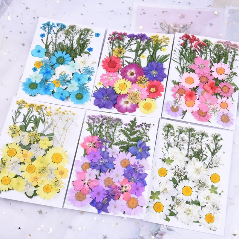

Dried Flowers Fillings Resin Mold UV Expoxy Dry Flower For Nail Art Pressed Flowers For Making Craft Phone Case DIY Accessories