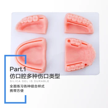 

Dental practice kit Oral cavity model Riveted needle Training tool tool kit with silica gel model for Dental Students