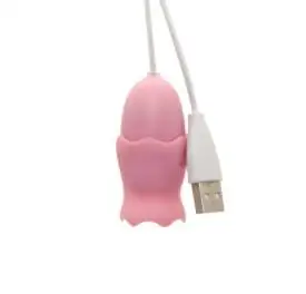 Clitoris-Stimulator- (6)