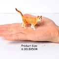 Yellow cat