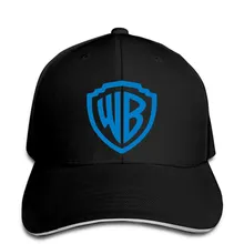 Мужская бейсболка Warner Bros.-Википедия Snapback Кепка женская шляпа остроконечная