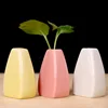 Small Ceramic Vases Use in Home Office Decor for Flowers, Green Plants & Dried Flower Vase for Wedding Table Centerpiece Decor 1