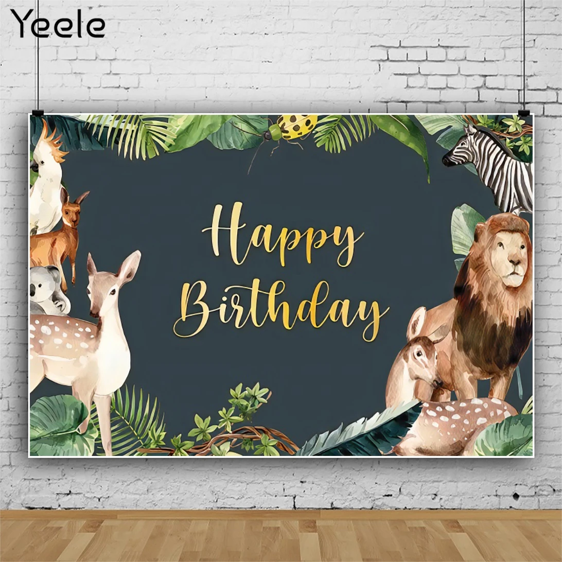 Yeele   Photocall Ƽ  ̺        Ʃ Կ