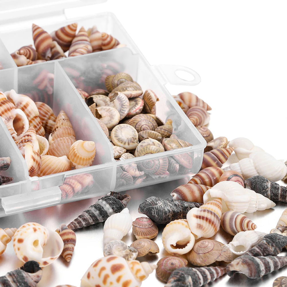 1Box Mix Natural Mini Seashell Beach Craft Decor Conch Corn Screw Epoxy Resin Mold Filling Material For DIY Jewelry Making Tools 1box mix natural mini seashell beach craft decor conch corn screw epoxy resin mold filling material for diy jewelry making tools