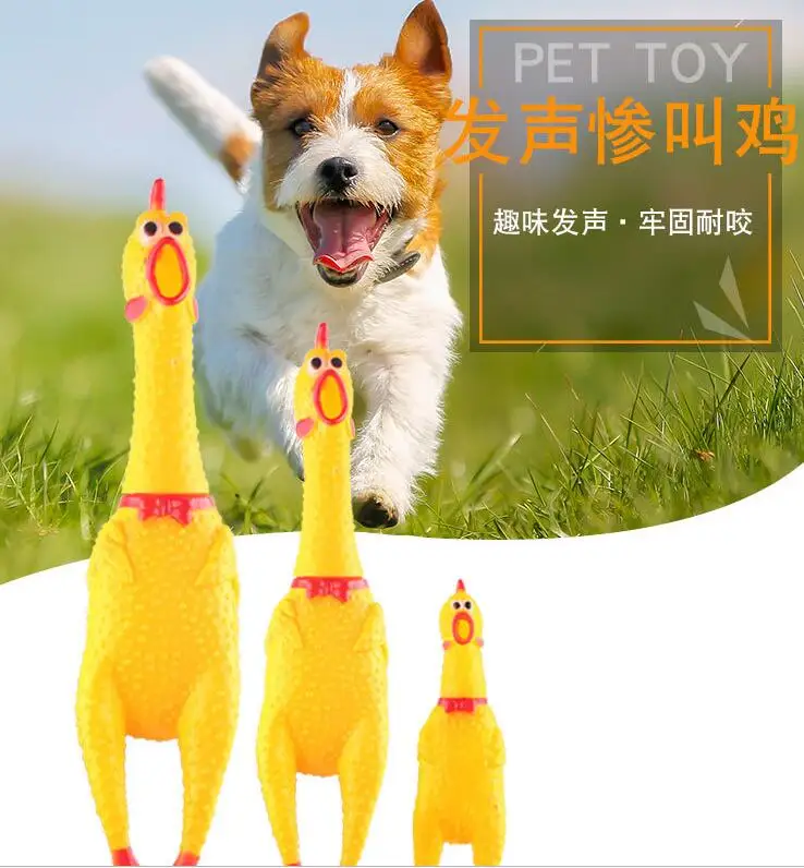 QQ图片20191121162823