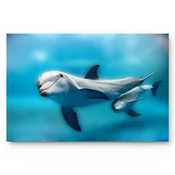 

Dolphin Blue Ocean Creature Living Room Doormat Home Environmental Protection Bathroom Door Non-slip Floor Mat
