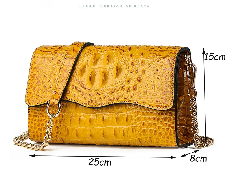 Black Leather Vintage Crocodile Luxury Handbags Women Bags Designer Chain Messenger Bag Female Small Red PU Crossbody Clutch Bag (8)