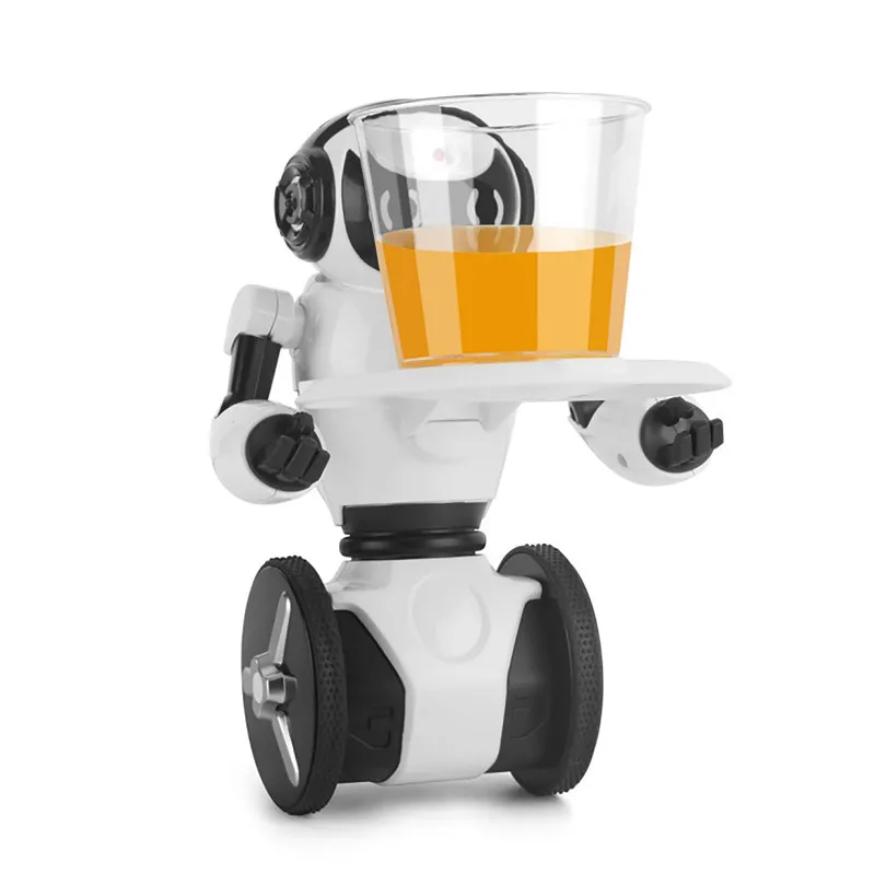 rc robot with camera