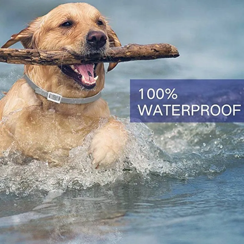 

4 Options Waterproof Dog Collar Anti Flea Mosquitoes Ticks Insect Natural Herbal Essential Oils Pet Collar Dog Accessories