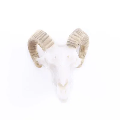 

Resin Craft Fish Tank Decoration Goat Skull Statues Creative Bar Decoration Skull Sculpture Creative Fish Tank Ornaments