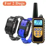 For 2 dogs Blue