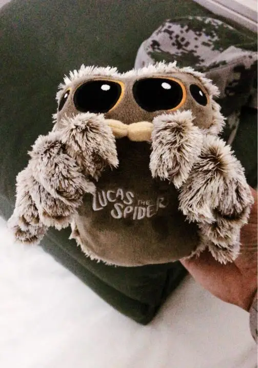 LUCAS THE SPIDER 1ST EDITION плюшевые игрушки куклы совершенно новые