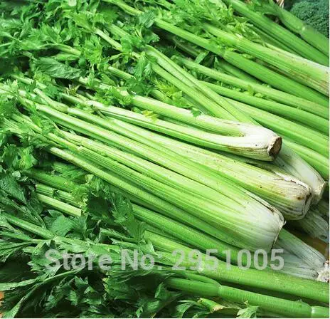 10000 шт сельдерей Apium Graveolens Umbelliferae растительный зеленый сельдерей бонсай завод DIY домашний сад
