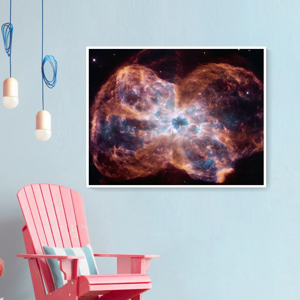 12 (4).jpg_.webp 12 (4).jpg_.webp