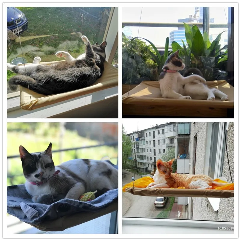 Милый питомец подвесные кровати подшипник 20 кг кошка солнечное сиденье Крепление на окно гамак для домашних животных корзина для домашних животных подстилка для кошки EVA двойной слой