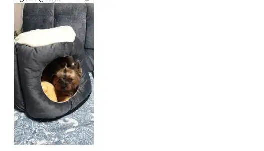 Transer зимняя теплая кровать для щенка юрта для питомца собачий домик мягкая подходящая Кошка маленькая собачья кровать для дома подушка для домашних животных продукты 90611