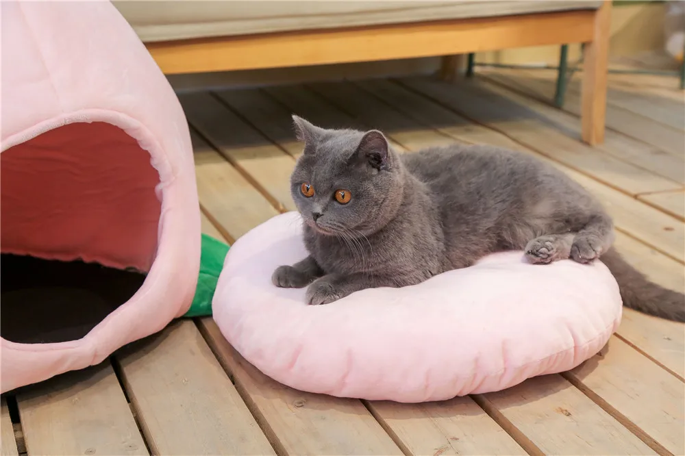 Peach Cat Bed