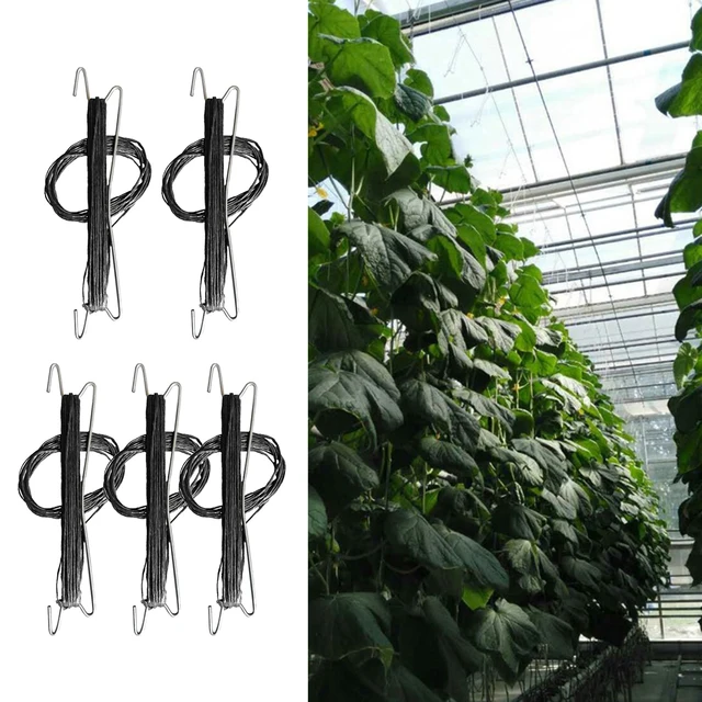 Virág Paradicsomos Tartó J Hook Szőlőhúr Megakadályozza A Paradicsomot, Hogy Megcsípje Vagy Leesjen - Image 2