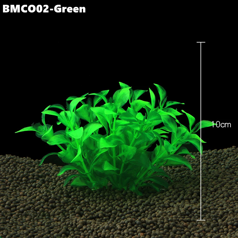 BMCO02 (5)