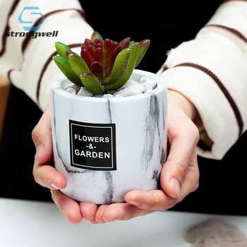 

Strongwell Ceramics Flower Pots Vases Plants Holder Fairy Garden Flowerpots Desktop Home Decoration Accessories Modern Gift