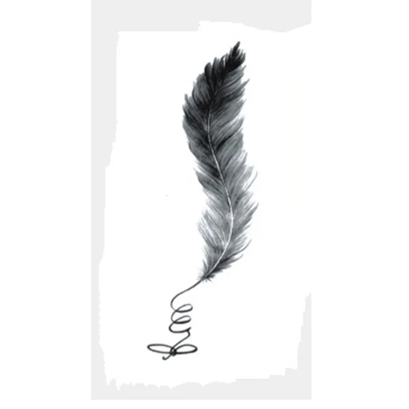 

Elegant Feathers Waterproof Temporary Tattoo Sticker Fake Tattoo The Flash Kids Tattoo Stickers Cheap Stuff