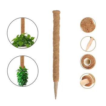 

50cm Garden Plant Climbing Stick Plant Climbing Coconut Strut Support Rod Coir Poles Plant Support Extension For Indoors Garden
