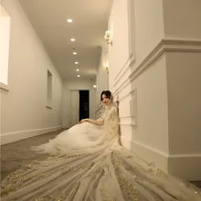 Favordear, свадебные аксессуары, 1 слой шампанского, 4 м, Соборная свадебная вуаль, Длинный срез, Блестящие Блестки, свадебная вуаль, новинка