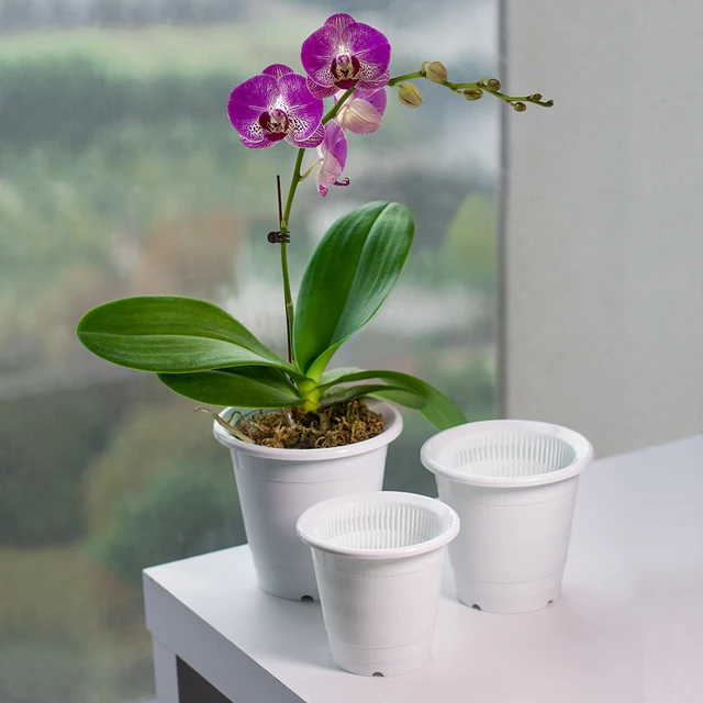 Orchidée Pots en plastique Trous, Pots de plantes d'extérieur Orchidées