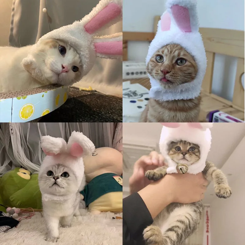 微信图片_20201102180114