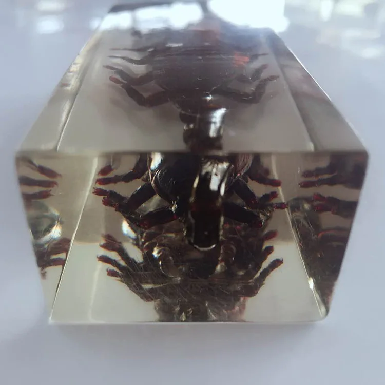 595661903919585346