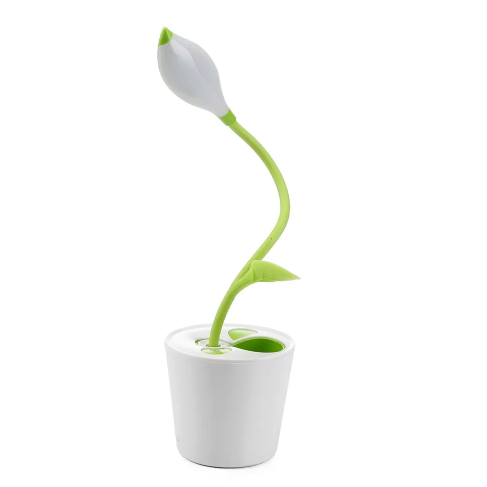 2417740913_2063540041