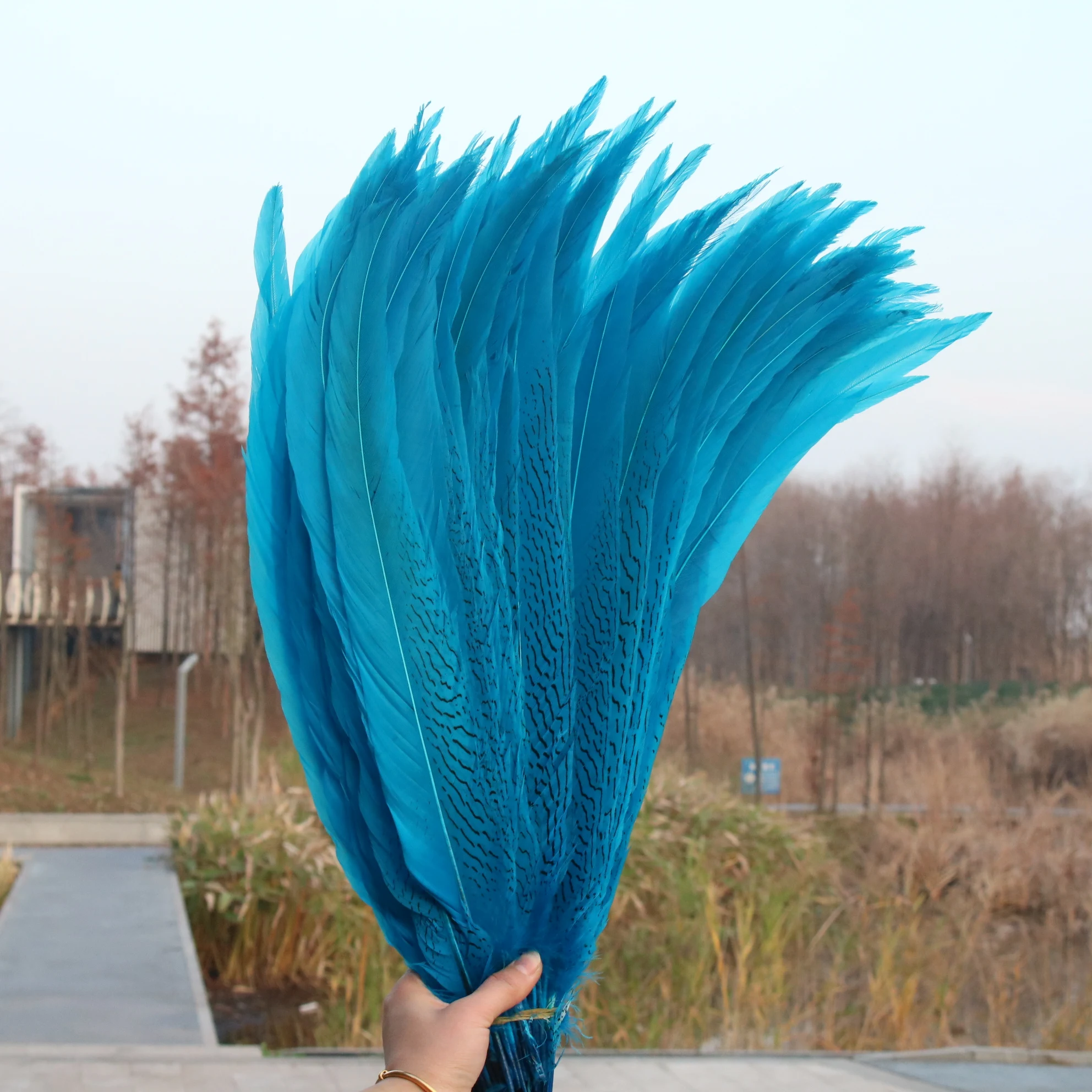 

50-55cm/long Natural Silver Pheasant Tail Feathers DIY Wedding Decorations lady amherst white silver chicken feathers plume