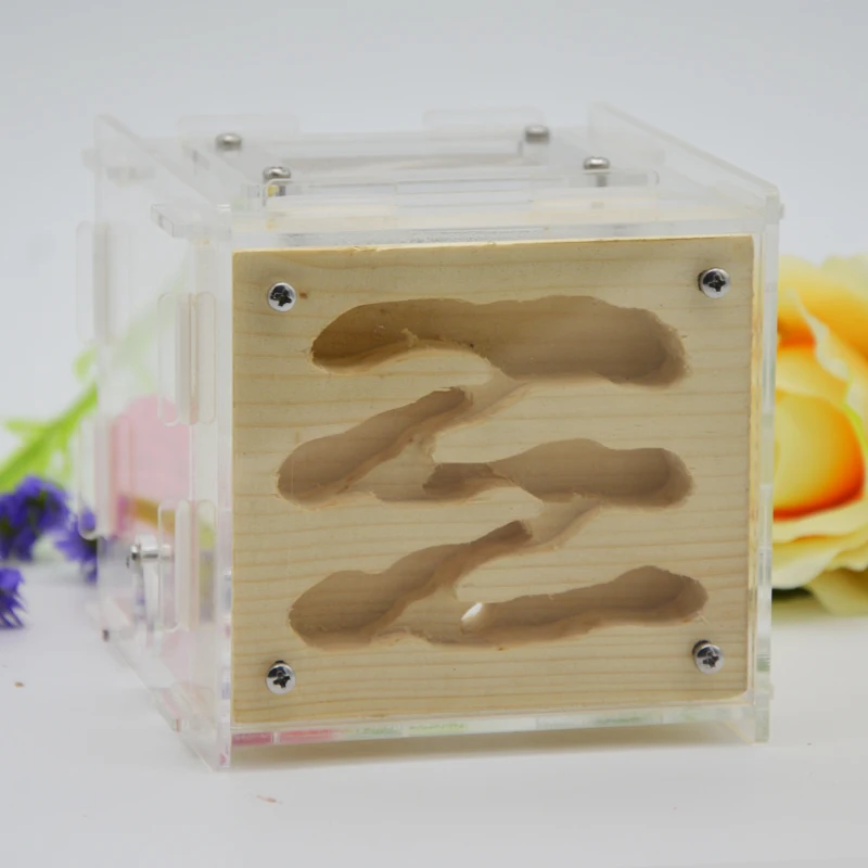 

Wooden ants farm ants nest house for living ants with feeding area made by real wood & acrylic size 12*10*9