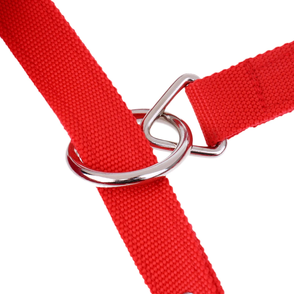 Soft Padded Adjustable Horse Head Collar Halter Middle Size Fits for 1.3-1.5m Height Horse and 2.5m Braided Horse Lead Rope