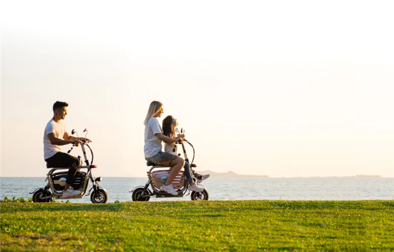 Electric Folding Bicycle Two Wheels Electric Bicycles Electric Scooter For GirlsLadies With SeatPet Basket 48V 80KM 40KMH  (3)