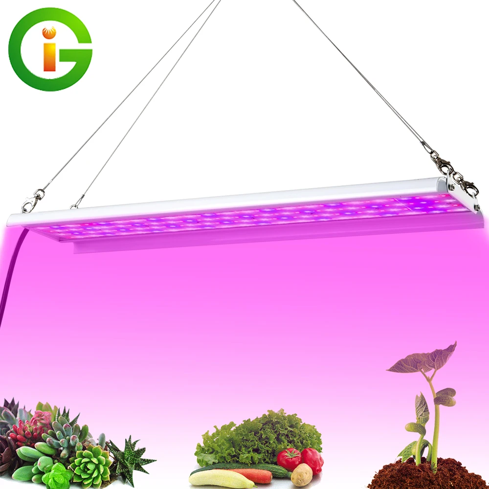 LED Grow Light 1000WFull Спектр высокой светоотдача фито лампы для Крытой Палатки