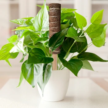 

Plant Climbing Coir Totem Pole Safe Gardening Coconut Palm Stick For Climbing Plants Vines And Creepers