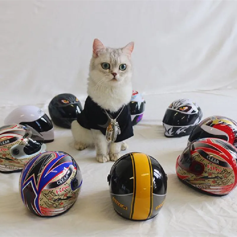 Chapeau Souvenir Pour Voiture Petit Casque Modele De Moto Ornement Accessoires Pour Chaton Chien Chat Cadeau Souvenir Fin Aliexpress Chapeau Souvenir Pour Voiture Petit Casque Modele De Moto Ornement Accessoires Pour Chaton Chien Chat Cadeau Souvenir Fin Aliexpress