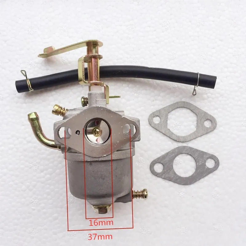 IMG_0503