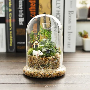 

Moss Micro Landscape Bottle Succulents Split Landscape Cover Gift Glass Product Glass Flower Container